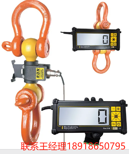 Eilon Engineering Ron 2150 有線測功機，帶 2 英寸/50 毫米可連接顯示器，出色的遠距離可讀性和堅固的鋁制指示器，帶有疲勞等級、5：1 安全系數的稱重傳感器。