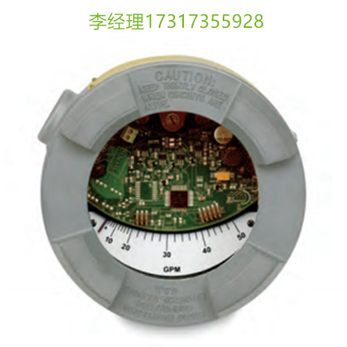 ERDCO Engineering 流量計