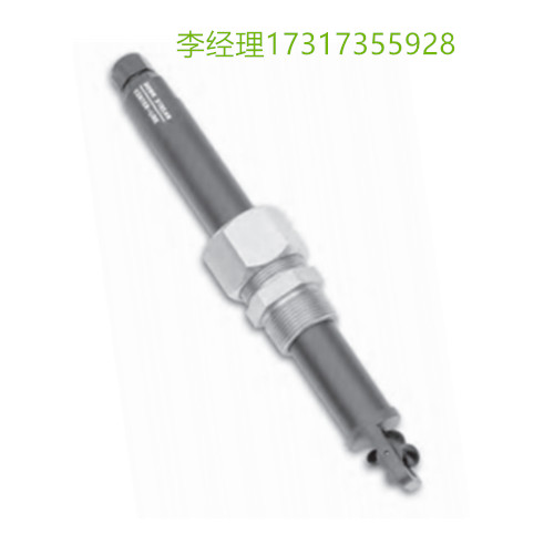 ERDCO Engineering 探頭