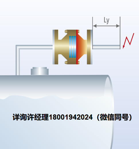 德國Flammer GmbH? 在線爆燃阻火器:耐久燃燒?Inline Detonation Flame Arrester：Endurance Burning、在線緩爆火焰阻止器、Flammer 阻火器進口代理