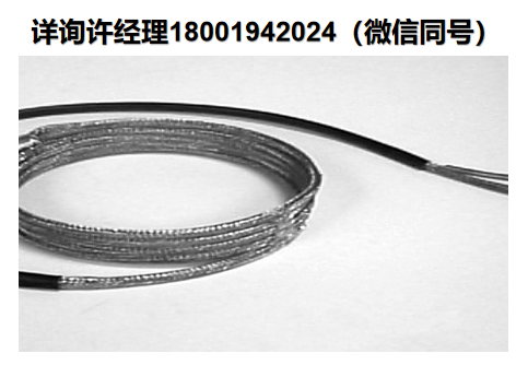 德國HORST HSTD – 250 C -高比熱輸出的細(xì)長加熱帶、HORST加熱帶 、 HORST進(jìn)口代理