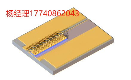 Innolume 多模半導體 激光管 廣域激光器（載流芯片） 底座上 1020nm 的廣域半導體激光管
