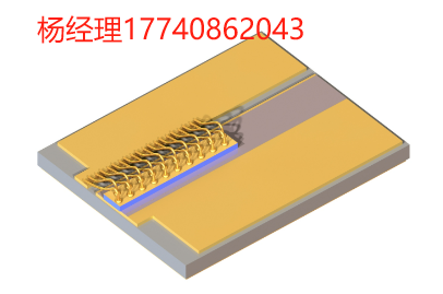 Innolume 多模半導體 激光管 廣域激光器（載流芯片） 底座上 1120nm 的廣域半導體激光管