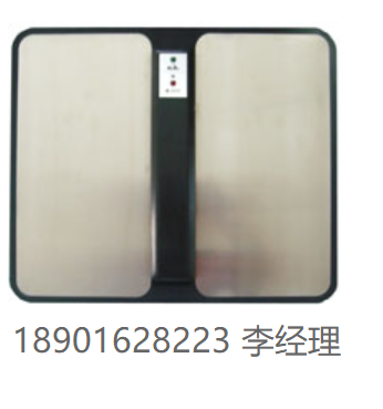 Kleinw?chter靜電領域高精度測量設備鞋測試儀 SST 200
