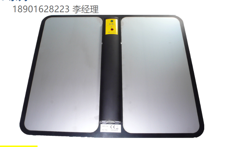 Kleinw?chter靜電領域高精度測量設備 SST 210 系列