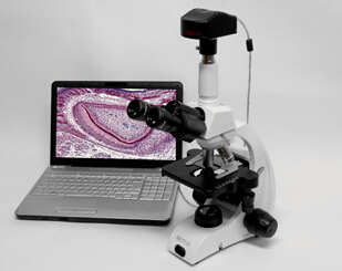 Vanilla 3MP MCX51 Sophisticated microscope先進顯微鏡