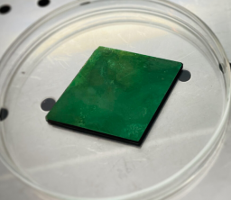 瑞士Rainbow Photonics  電光 DSTMS 晶體