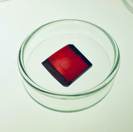 瑞士Rainbow Photonics OH1電光有機晶體 高品質有機晶體
