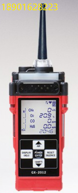 德國 RKI Analytical GX-2012 5-in-1 Gas Monitor GX-2012五合一氣體監測儀