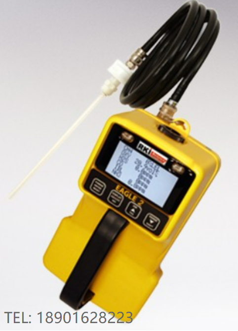德國 RKI Analytical EAGLE II 1 to 6 Gas Portable Monitor EAGLE II 1至6氣體便攜式監測儀