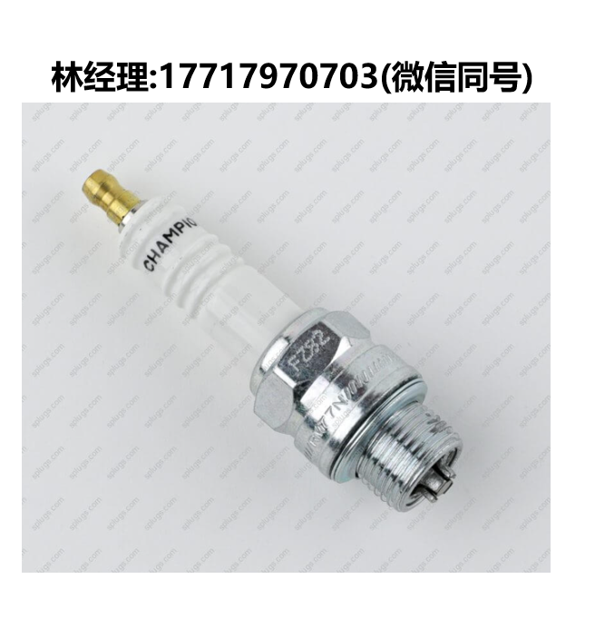 Champion代理,640 RM77N工業級火花塞
