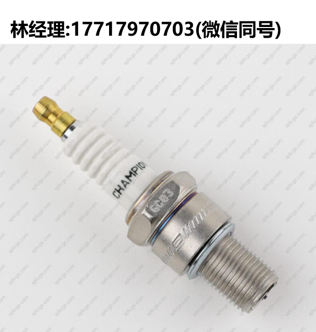 Champion一級代理,242 RB75WPCC/519 RM77N/530 RN79G火花塞