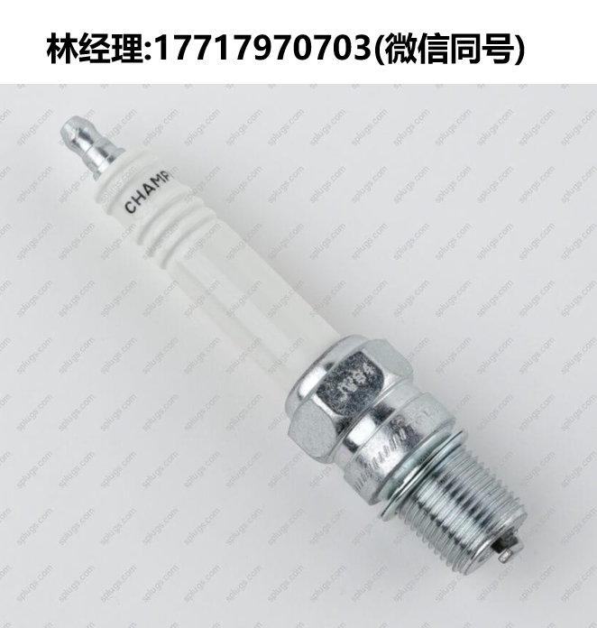 Champion進口代理,227 FI21505/233 RM82WPCC/237 RB77CC火花塞