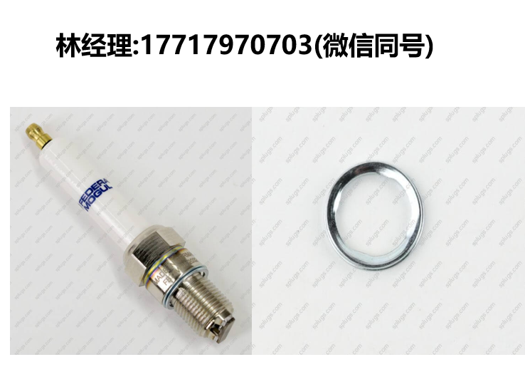 Champion進口代理,FB78WW/A678/N678火花塞,墊圈