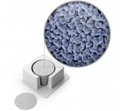 美國 Sterlitech Silver Membranes  45341 0.45 微米，37 毫米，25/包 銀膜
